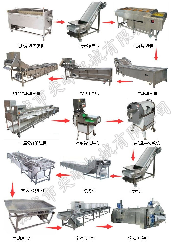 速冻蔬菜加工设备